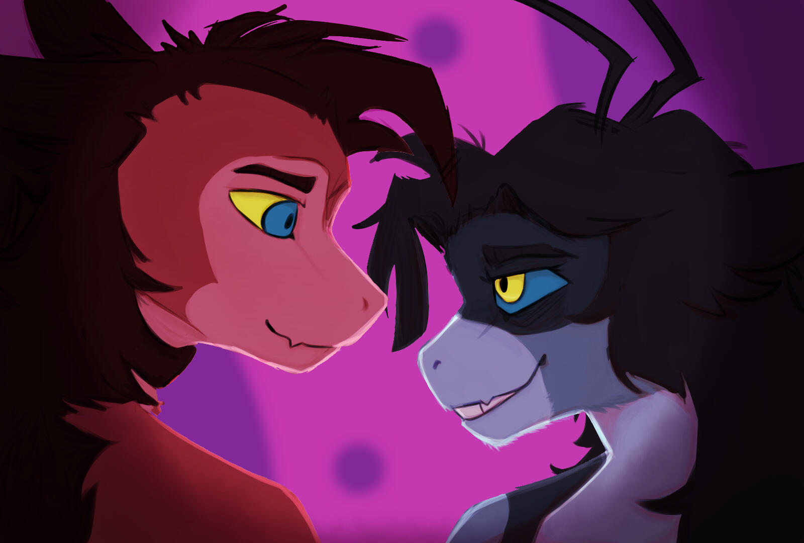 07/11/2025 Newt &amp; Caiman