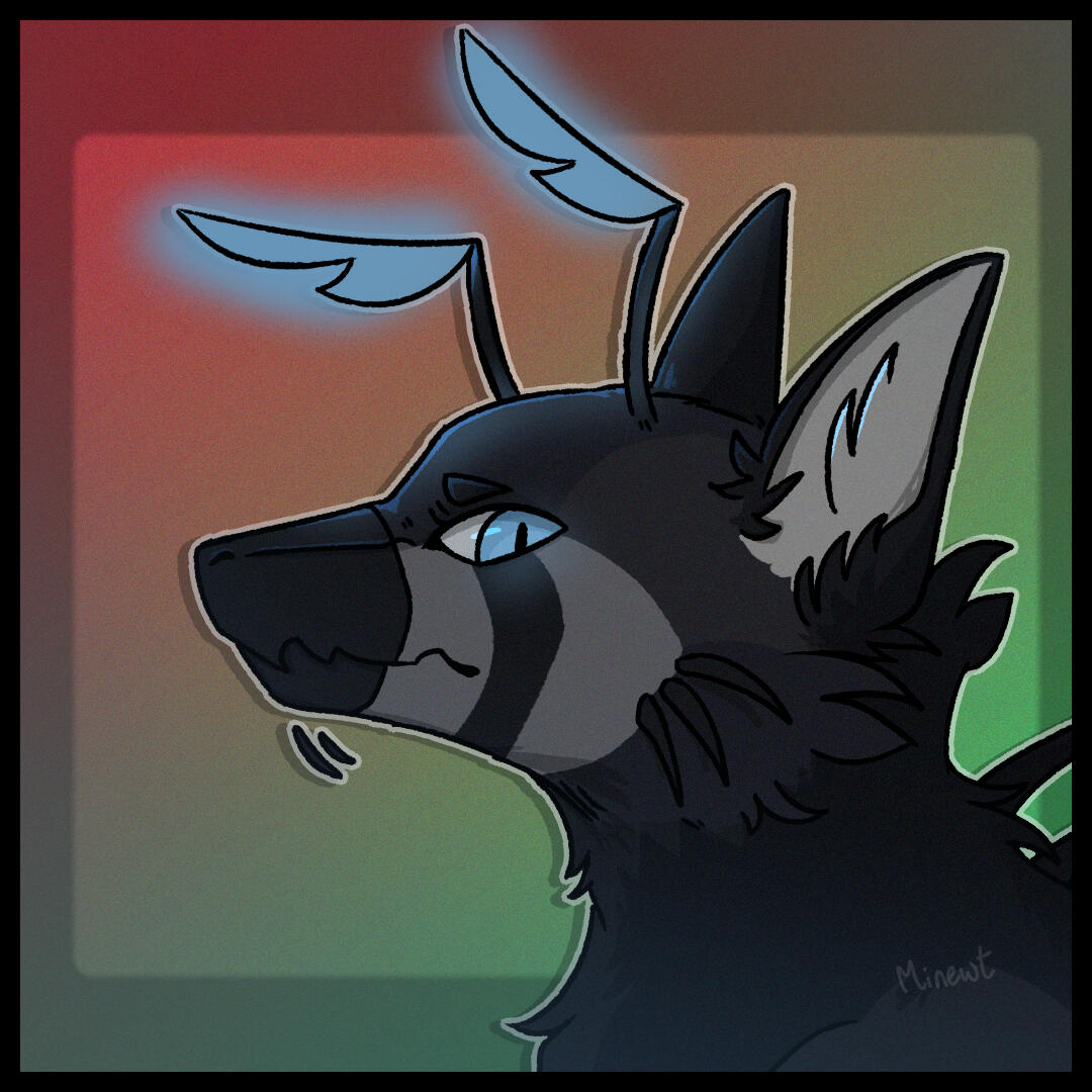 15/09/2026 Pleuro Headshot